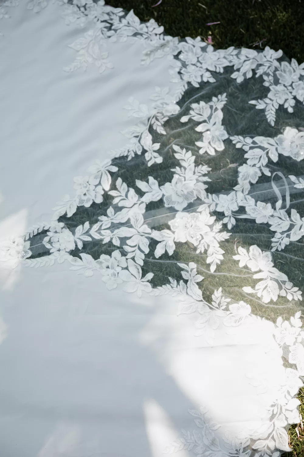 Anifael - Soleil – Image 3