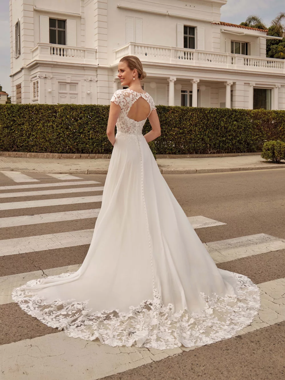 Sylfany - Bellis