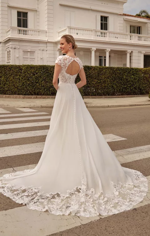 Sylfany - Bellis