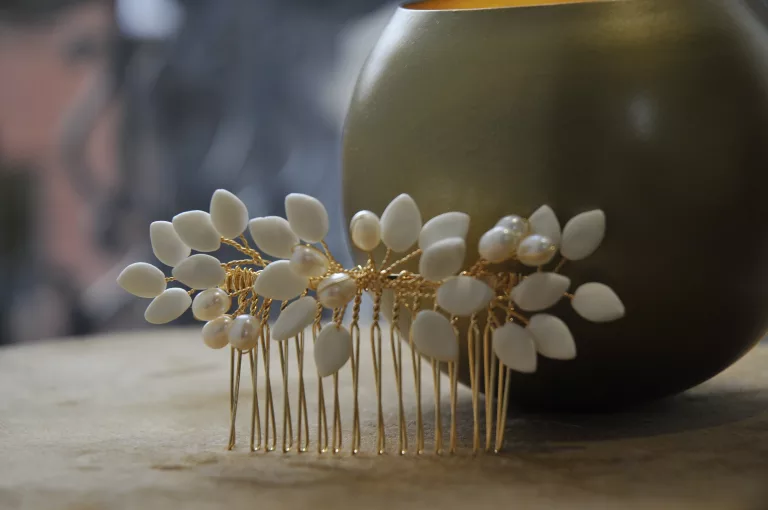 peigne court bastide 80€ b